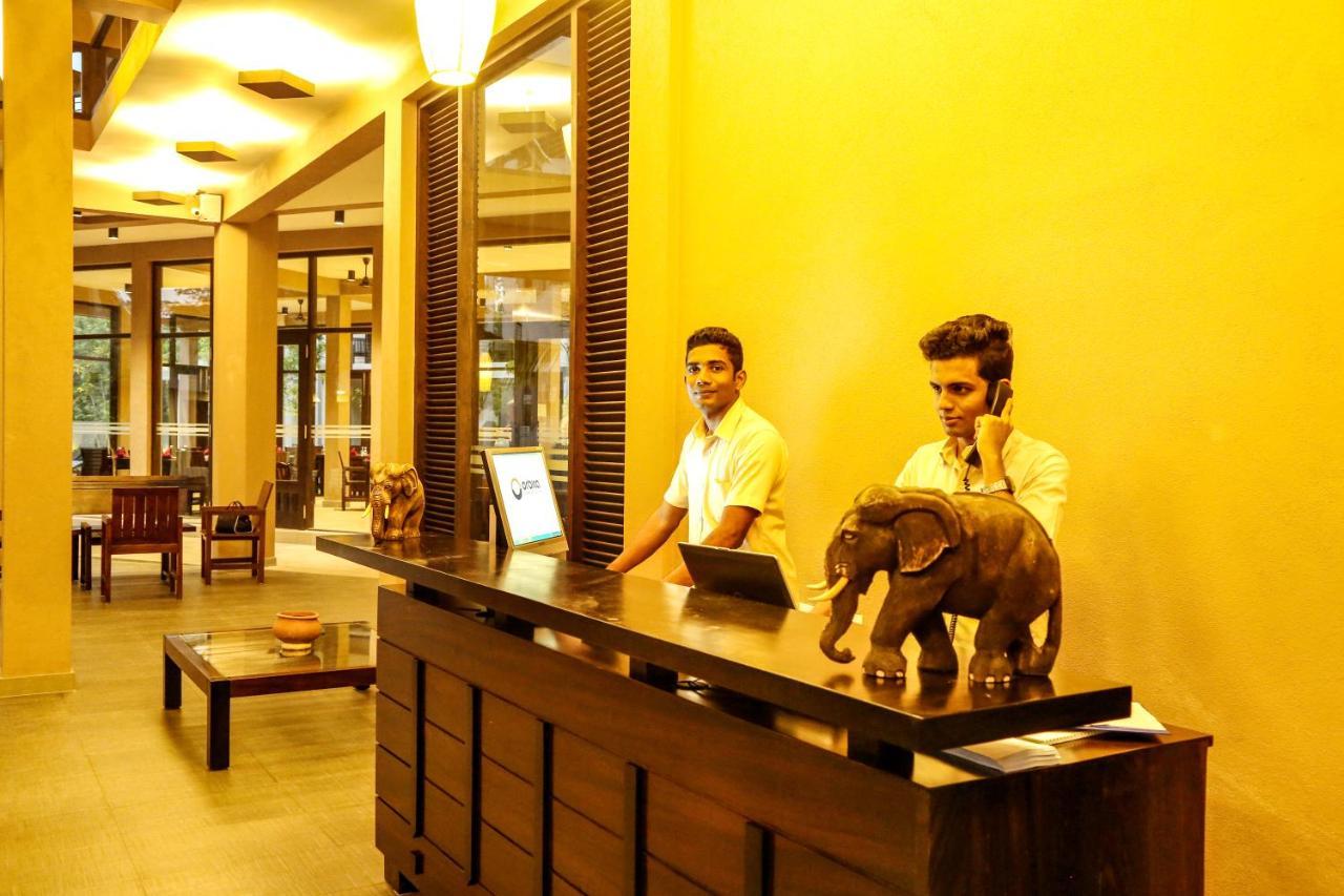 Hotel Oak Ray Wild Yala à Tissamaharama Extérieur photo
